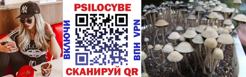 Псилоцибиновые грибы MAGIC MUSHROOMS  Ленинск 
